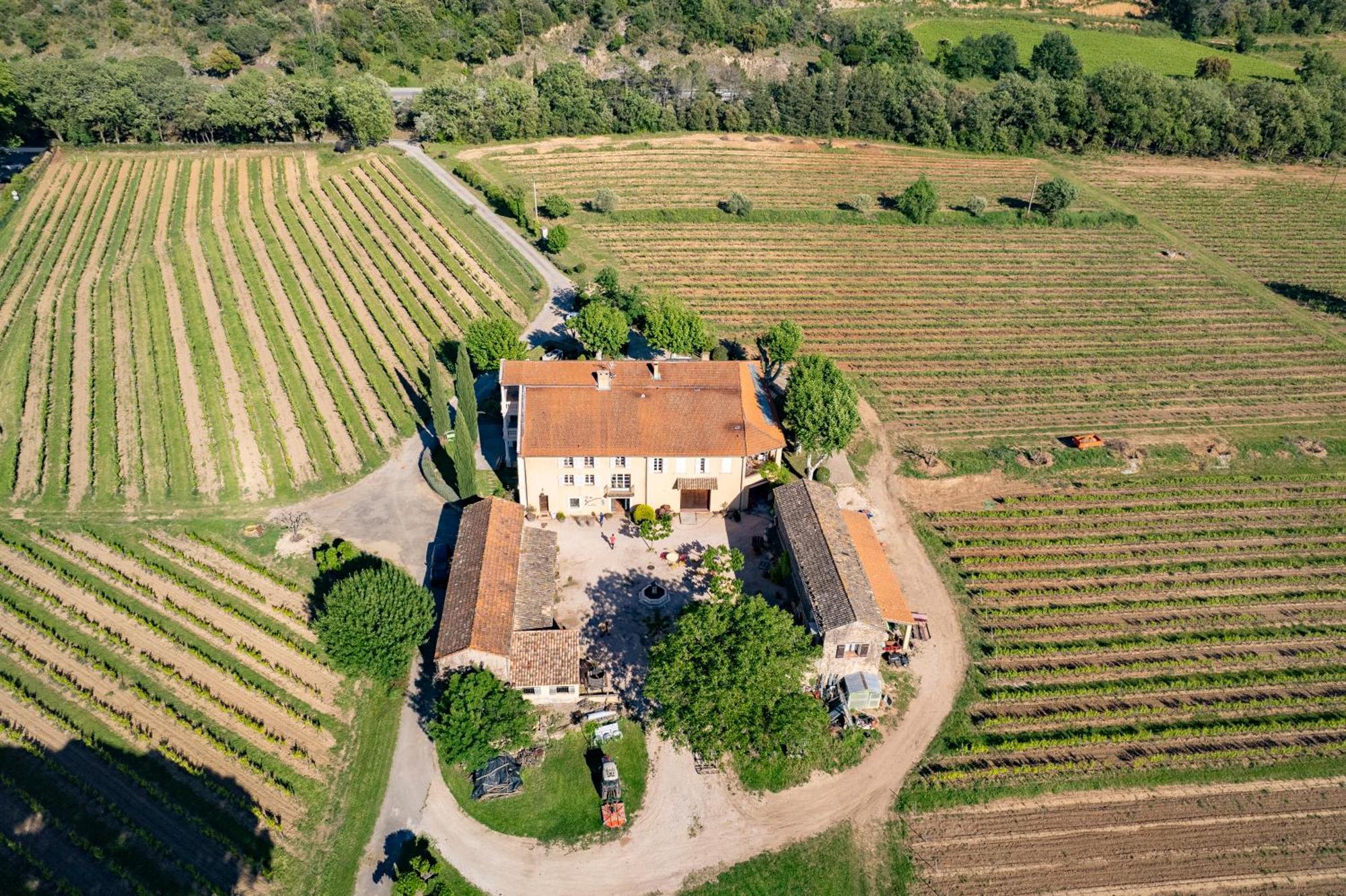Gite Vert D'Olive Au Milieu Des Vignes - Chateau Les Apies Les Arcs-sur-Argens ภายนอก รูปภาพ